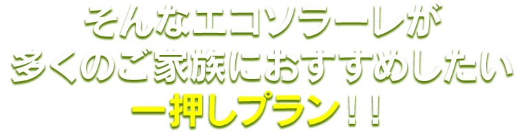 そんなエコソラーレに多くのご家族におすすめしたい一押しプランができました！